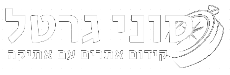 סוני גרטל קידום אתרים עם אתיקה